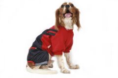Mikie Denim Romper Köpek Tulumu Kıyafeti Small