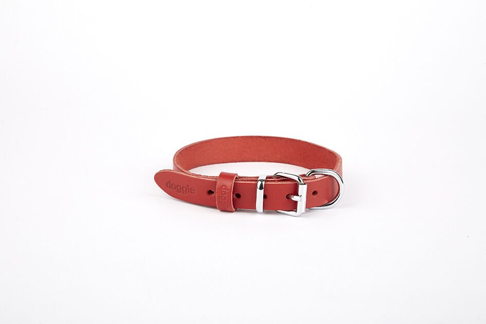 Doggie Deri El Yapımı Köpek Boyun Tasması 1,5x25-30 cm Kırmızı