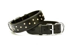 Doggie Konforlu Deri Swarovski Kristal Taşlı Köpek Boyun Tasması 4 x 54-63 cm Siyah